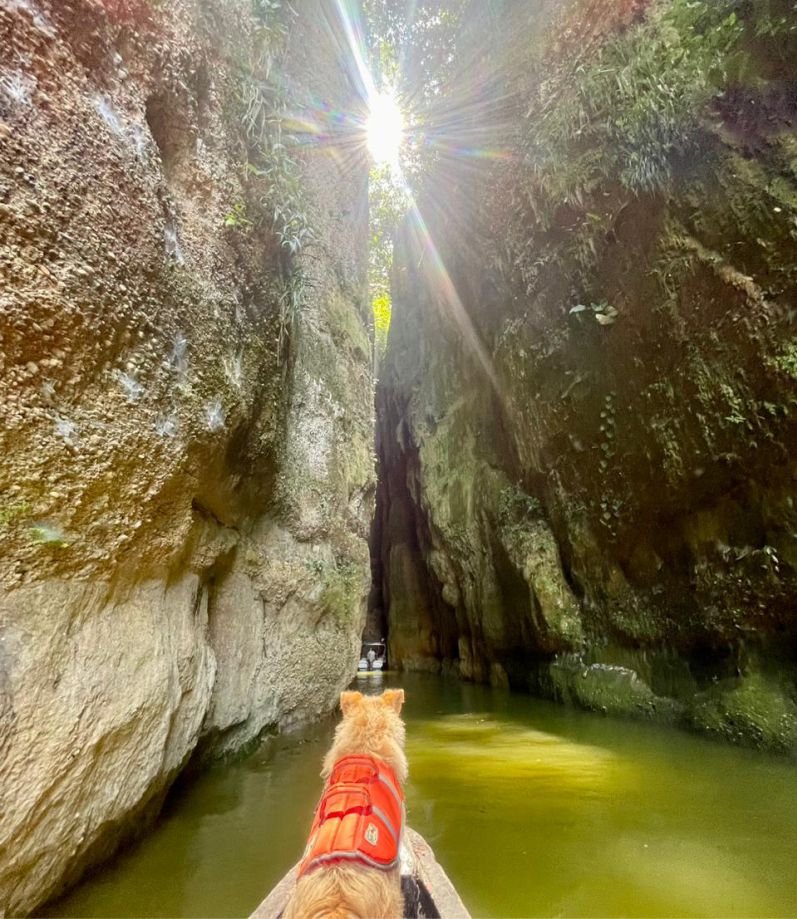 campamento de verano, aolescentes, paseo, aventura, conocimiento, cultura, naturaleza, deporte acuatico, caminata, fogata, meditacion, desarrollo personal, dia, noche